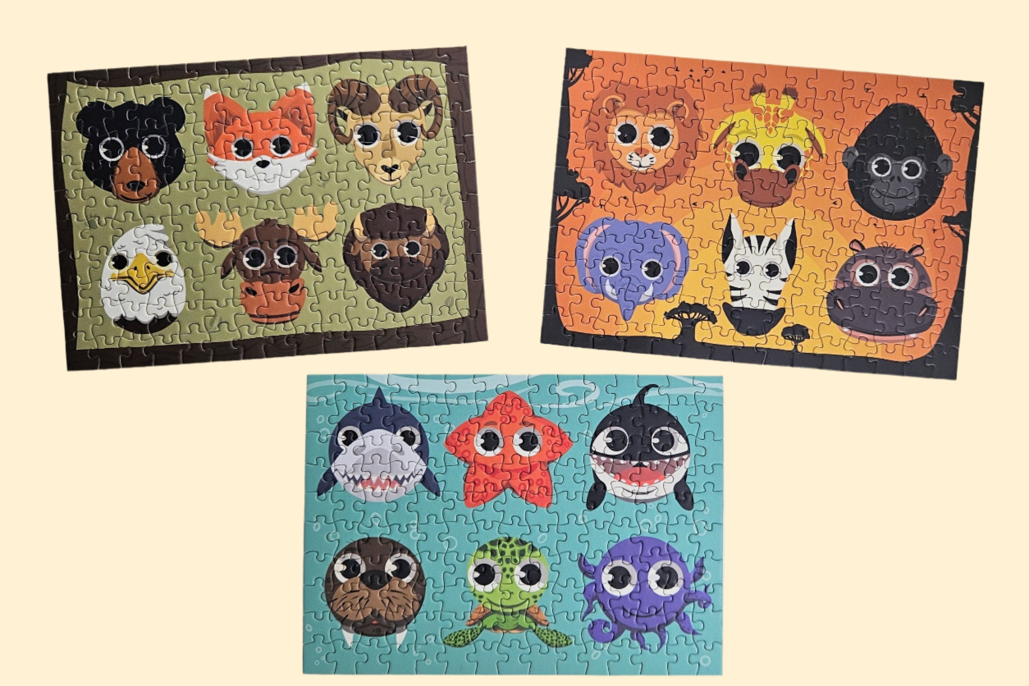 20241126_155857_1.jpg?v=1732675274